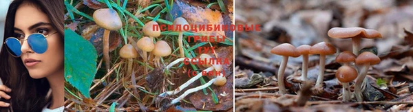 мескалин Армянск